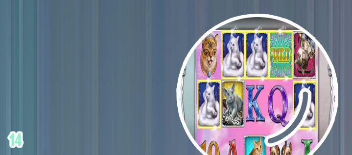 Free slots pokies