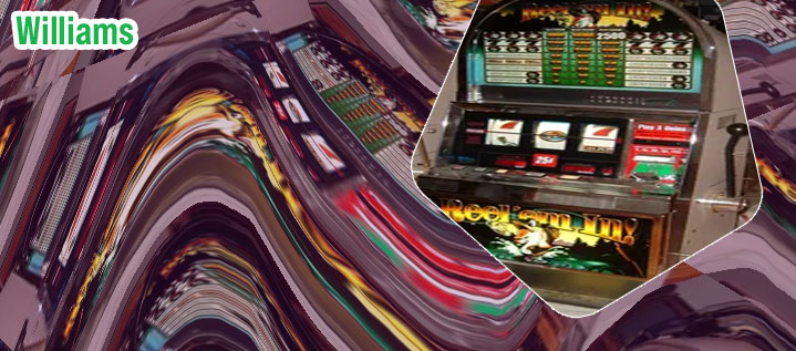 Williams slot machine